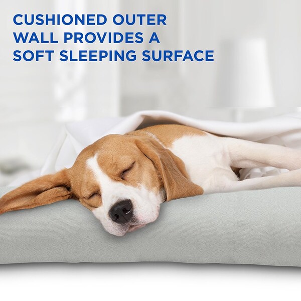 Arf Pets Dog Self Cooling Bed Pet Bed - Foam Based Bolster Bed for Extra Comfort, 22 x 35 - APCLBM