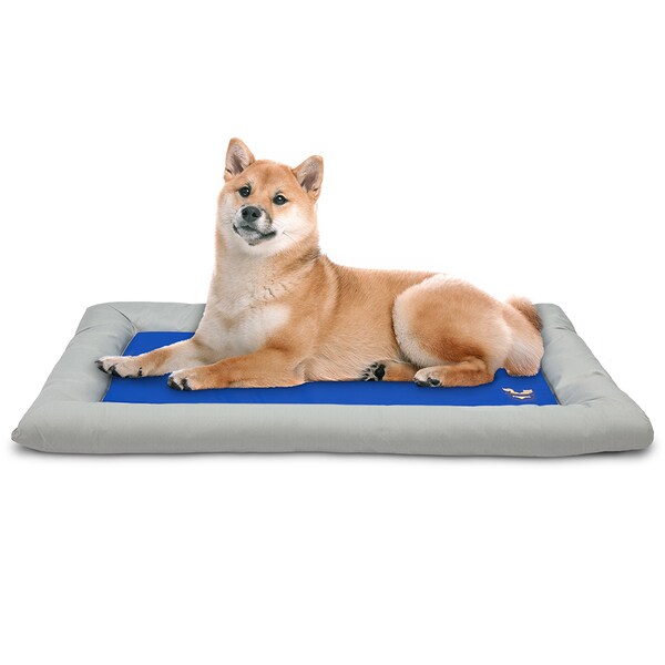 Arf Pets Dog Self Cooling Bed Pet Bed - Foam Based Bolster Bed for Extra Comfort, 22 x 35 - APCLBM