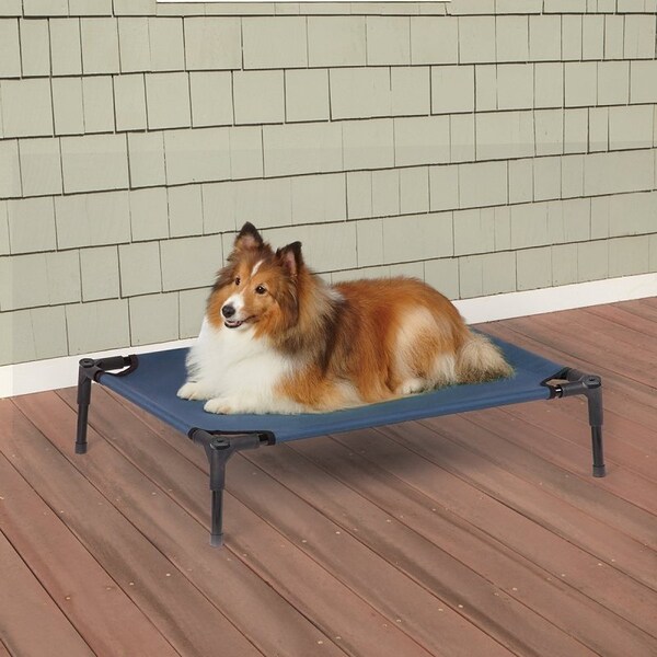 Guardian Gear Pet Cot, 30 in L, 24 in W, Polyester Cover, Blue - ZW9023 16 19