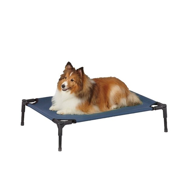 Guardian Gear Pet Cot, 30 in L, 24 in W, Polyester Cover, Blue - ZW9023 16 19