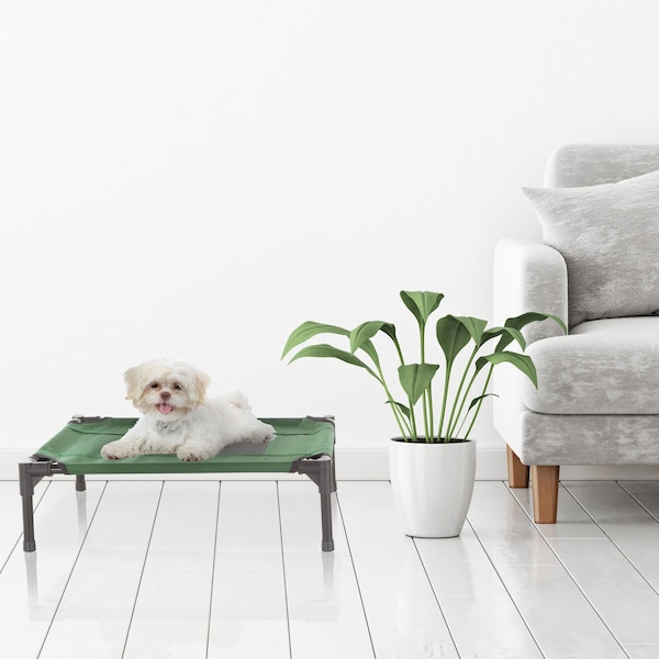 Pet Adobe Elevated Portable Pet Bed Cot-Style 24.5 inx18.5 inx7 in for Dogs and Small Pets, Indoor/Outdoor - 665155LJT