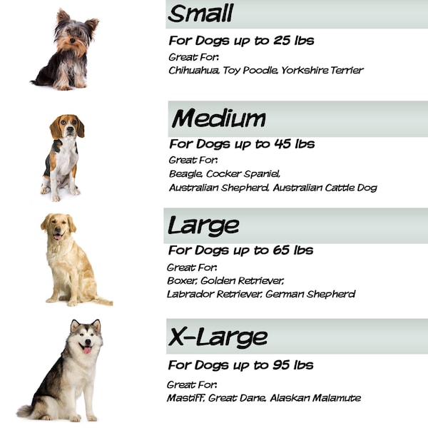 Pet Adobe Waterproof Memory Foam Pet Bed for Indoor/Outdoor Water Resistant/Washable Cover 36 in x 27 in Brown - 898638XUA