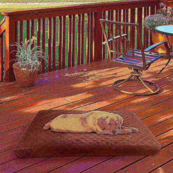 Pet Adobe Waterproof Memory Foam Pet Bed for Indoor/Outdoor Water Resistant/Washable Cover 36 in x 27 in Brown - 898638XUA