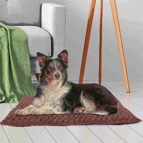 Pet Adobe Pet Adobe X-Large Cushion Pillow Pet Bed - Chocolate - 590206TYT