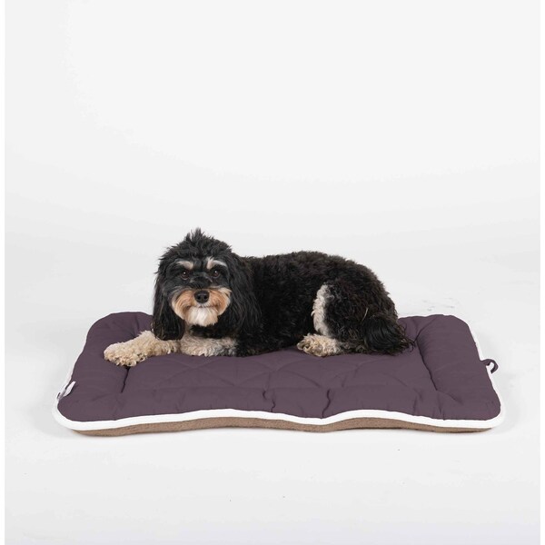 Dgs Pet Products Pet Cotton Canvas Sleeper Cushion - DGSSC2339