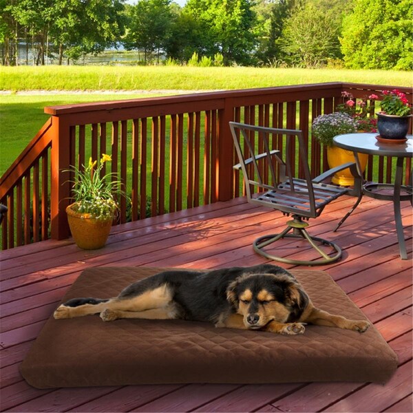Daretocare 44 x 35 in. Waterproof Memory Foam Pet Bed - Brown - DA3236300