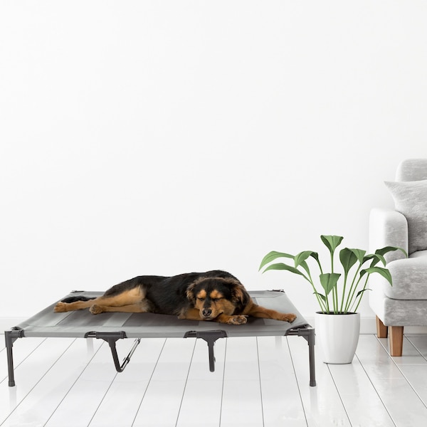 Pet Adobe Elevated Portable Pet Bed Cot-Style 48”x35.5”x9” for Dogs and Small Pets | Indoor/Outdoor (Gray) - 532169MPL