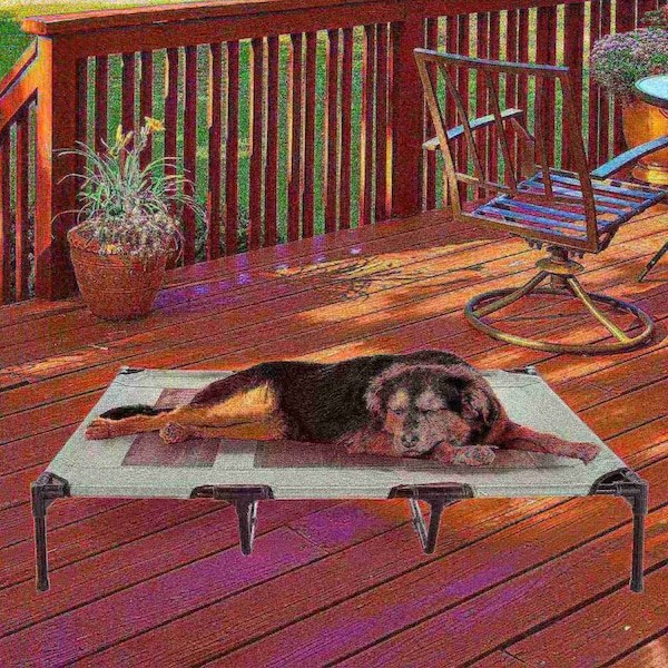 Pet Adobe Elevated Portable Pet Bed Cot-Style 48”x35.5”x9” for Dogs and Small Pets | Indoor/Outdoor (Gray) - 532169MPL