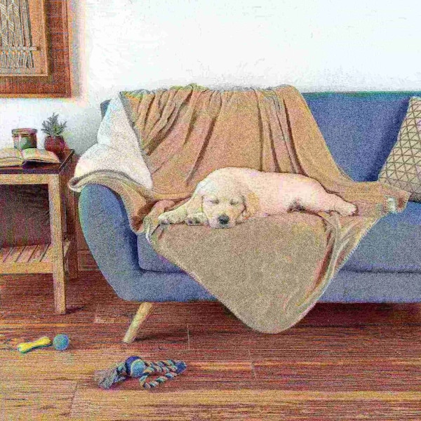 Pet Adobe Pet Adobe Waterproof Pet Blanket - Washable Couch, Bed and Furniture Protector- 50 x 60 (Tan) - 310953OVX