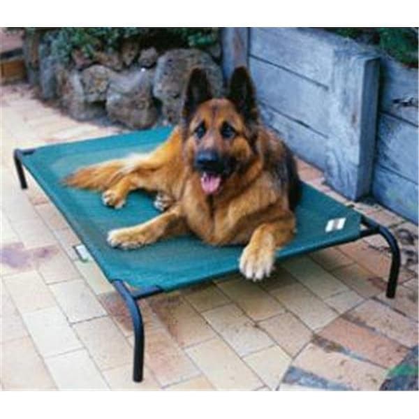 Coolaroo Coolaroo 799870317287 3 feet 6 inch x 2feet  6inch  Large Steel Framed Pet Bed - Brunswick Green Cover - 317287