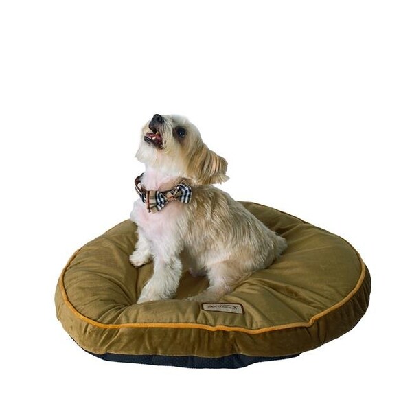 Aeromark AeroMark M04CHL Armarkat Sage Green Pet Bed Pad; 26-Inch M04CHL - M04CHL