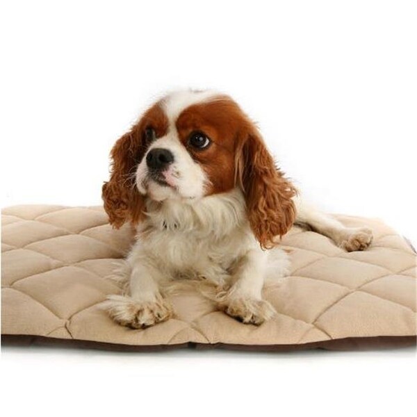 American Pet Diner American Pet Diner 100FLLQC030 Flectabed Q 37 in. x 28 in. - Cream - 100FLLQC030