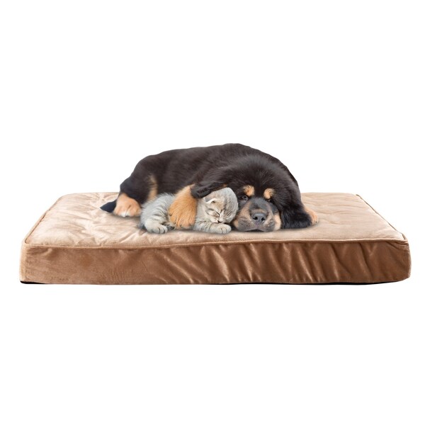 Pet Adobe Pet Bed Egg Crate with 100-percent Memory Foam Orthopedic Cushion Water-Resistant 37 x 24 x 4 - 164960HXX