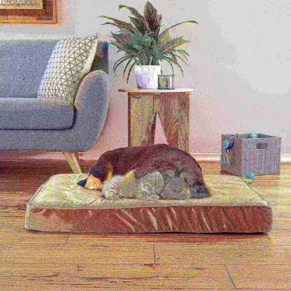 Pet Adobe Pet Bed Egg Crate with 100-percent Memory Foam Orthopedic Cushion Water-Resistant 37 x 24 x 4 - 164960HXX