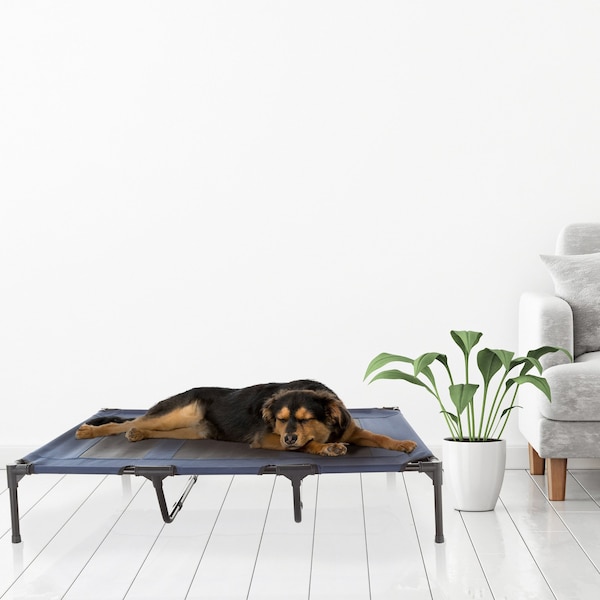Pet Adobe Elevated Portable Pet Bed Cot-Style with Non-Slip for Dogs and Small Pets, Indoor/Outdoor Blue - 510486PAG