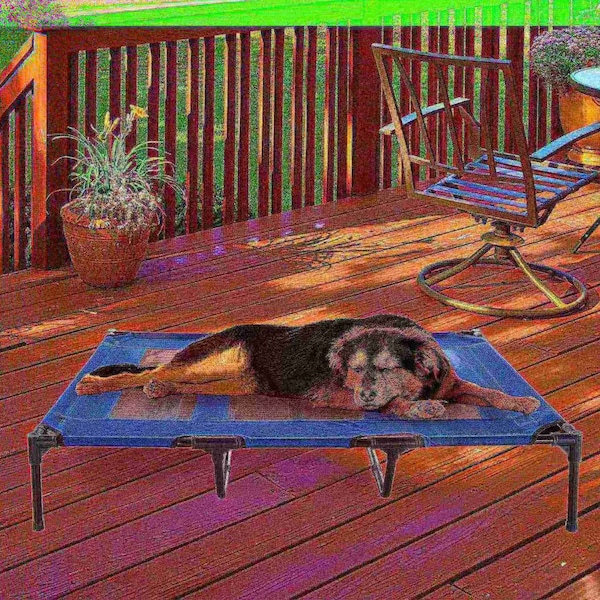 Pet Adobe Elevated Portable Pet Bed Cot-Style with Non-Slip for Dogs and Small Pets, Indoor/Outdoor Blue - 510486PAG