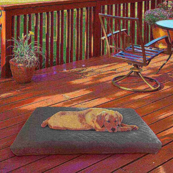 Pet Adobe Waterproof Memory Foam Pet Bed for Indoor/Outdoor Water Resistant and Washable Cover 36” x 27” Gray - 673550DYF
