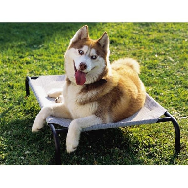 Coolaroo Coolaroo 799870436049 Steel Pet Bed Medium-Grey - 436049