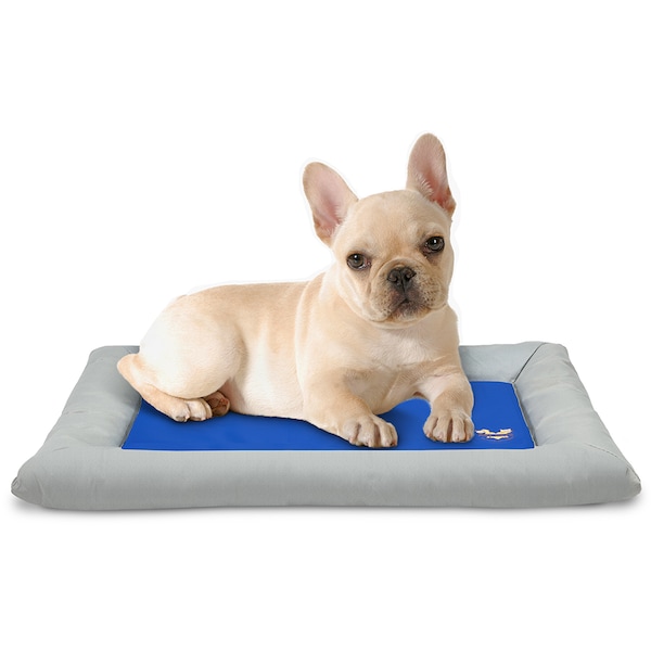 Arf Pets Dog Self Cooling Bed Pet Bed - Foam Based Bolster Bed for Extra Comfort, 20 x 30 - APCLBS
