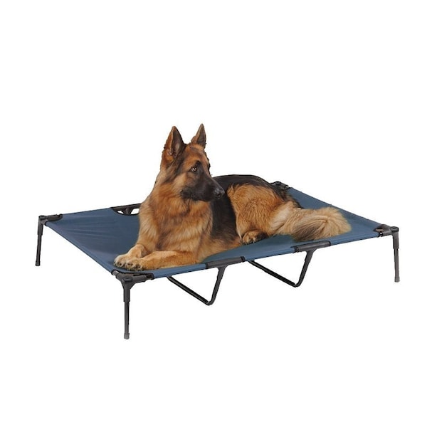 Guardian Gear Pet Cot, 48 in L, 36 in W, Polyester Cover, Blue - ZW9023 24 19