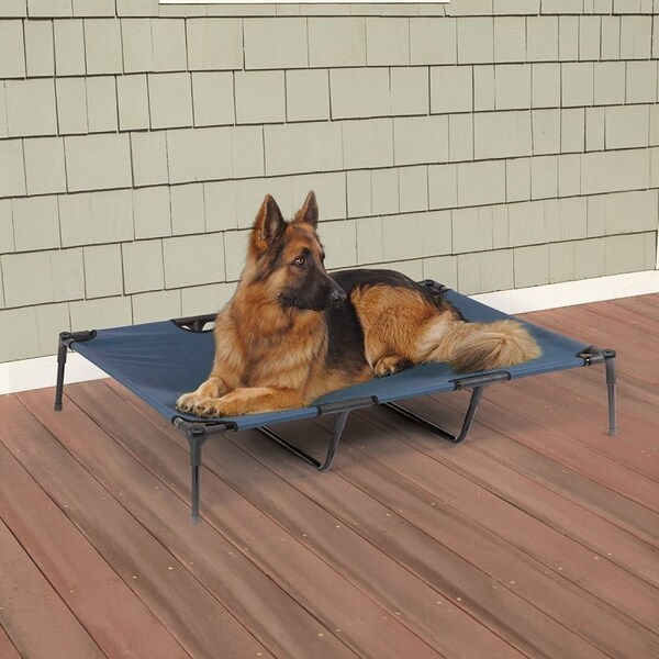 Guardian Gear Pet Cot, 48 in L, 36 in W, Polyester Cover, Blue - ZW9023 24 19