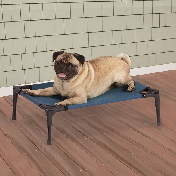 Guardian Gear Pet Cot, 24 in L, 18 in W, Polyester Cover, Blue - ZW9023 12 19