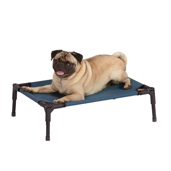 Guardian Gear Pet Cot, 24 in L, 18 in W, Polyester Cover, Blue - ZW9023 12 19