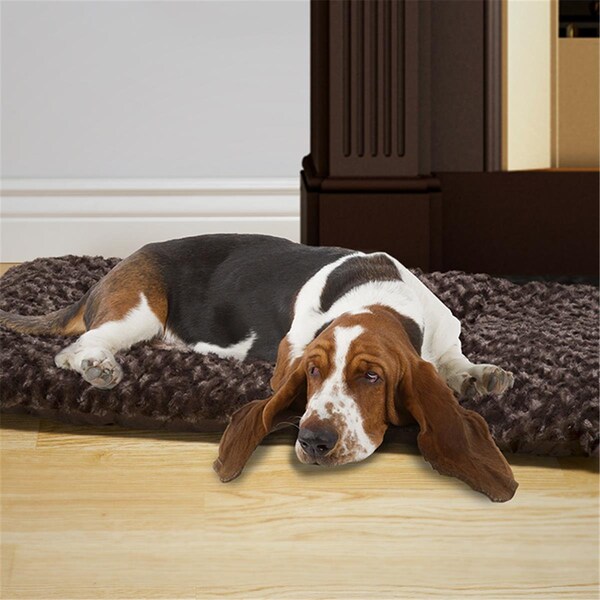 Daretocare Jumbo Size Cushion Pillow Pet Bed - Chocolate - DA3878443