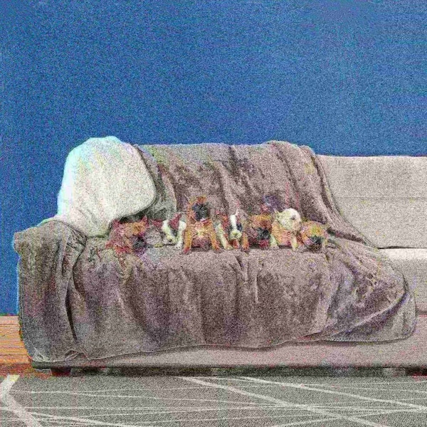Pet Adobe Waterproof 60x70in Pet Throw Blanket, Gray - 346391YRB