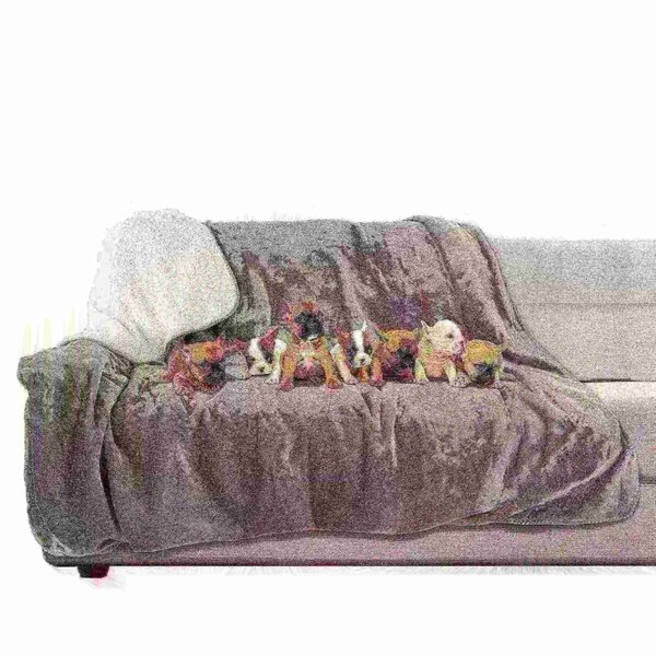 Pet Adobe Waterproof 60x70in Pet Throw Blanket, Gray - 346391YRB