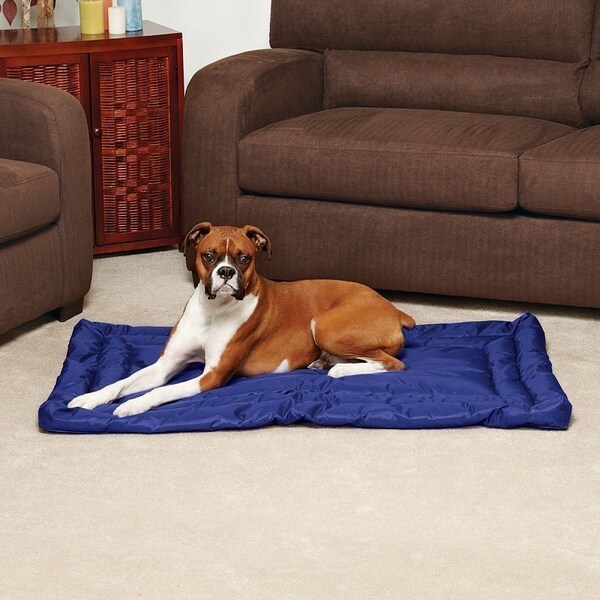 Slumber Pet Dog Bed, 30 in L, 19 in W, Nylon Cover, Royal Blue - ZA210 30 19