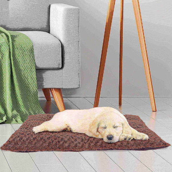 Pet Adobe Pet Adobe Large Cushion Pillow Pet Bed - Chocolate - 772161TZT
