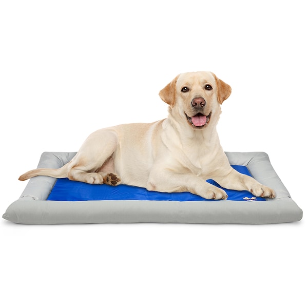 Arf Pets Dog Self Cooling Bed Pet Bed - Foam Based Bolster Bed for Extra Comfort, 26 x 40 - APCLBL