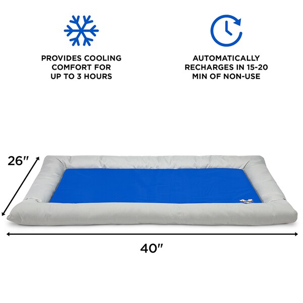 Arf Pets Dog Self Cooling Bed Pet Bed - Foam Based Bolster Bed for Extra Comfort, 26 x 40 - APCLBL