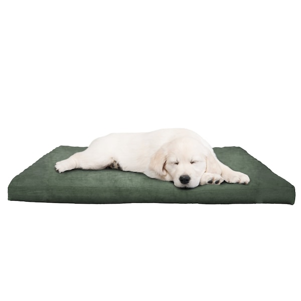Pet Adobe Pet Adobe 3 inch Foam Pet Bed-25.5x19 inches-Forest - 879050QLM