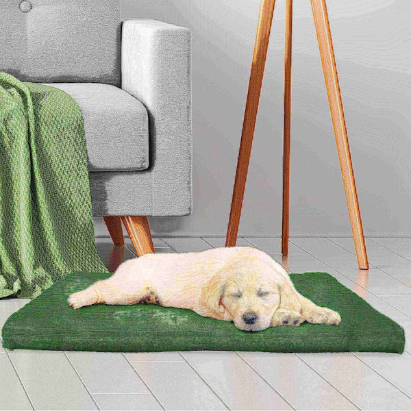 Pet Adobe Pet Adobe 3 inch Foam Pet Bed-25.5x19 inches-Forest - 879050QLM