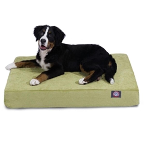 Majestic Pet Apple Villa Medium Orthopedic Memory Foam Rectangle Dog Bed - 78899551470