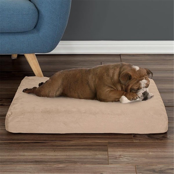 Daretocare 26 x 19 x 4 in. Egg Crate & Memory Foam with Washable Orthopedic Pet Bed - Tan - DA3232903