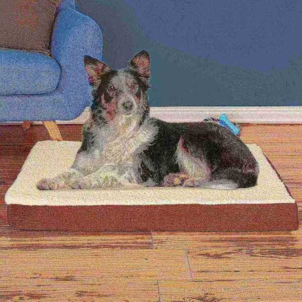 Pet Adobe Pet Adobe Memory Foam Orthopedic Pet Bed 36x27x4 Brown - 549666IEI
