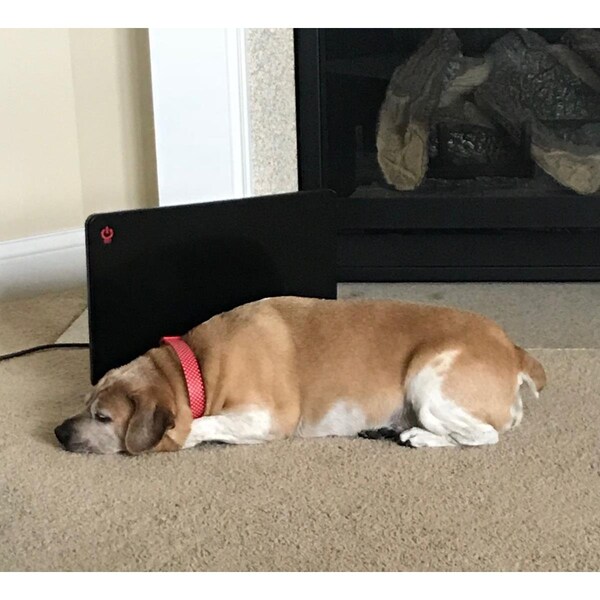 Cozy Products Pet Bed Warmer - 19 x 13 x 0.62 in. - CL-PW