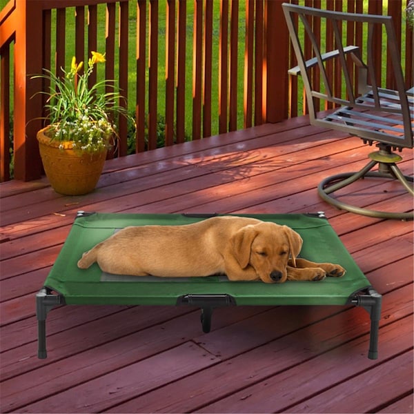 Daretocare Elevated Pet Bed, Green - 36 x 29.75 x 7 in. - DA3238096