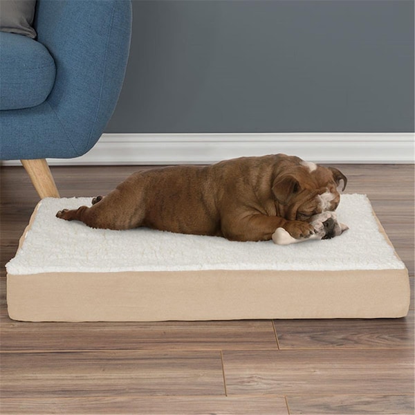Daretocare Orthopedic Sherpa Top Pet Bed with Memory Foam & Removable Cover - Tan - DA3238812