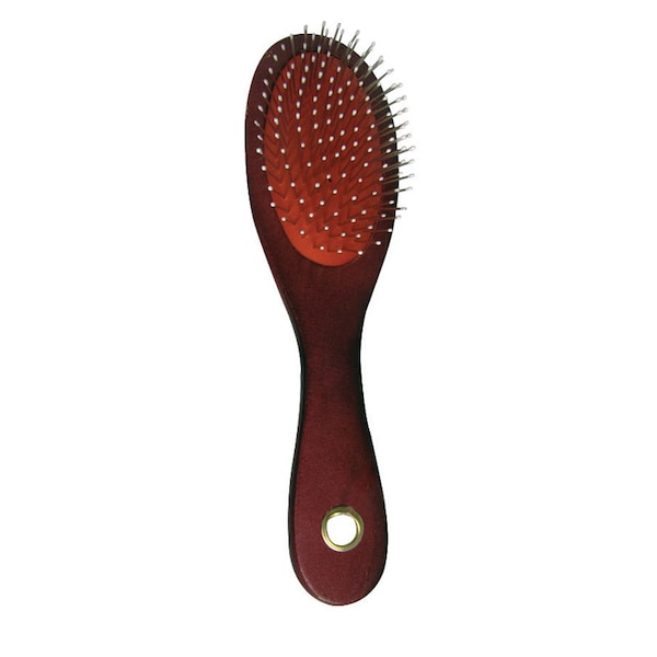 Aloe Care Aloe Care Brown Cat/Dog Pin Brush 1 pk - A07680