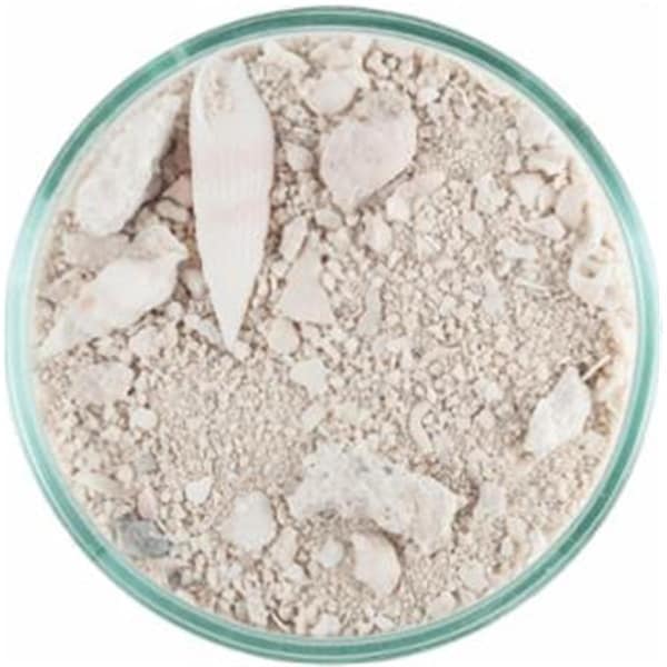 Carib Sea Caribsea  20 lbs ocean Direct Natural Live Sand, 2PK - 84004