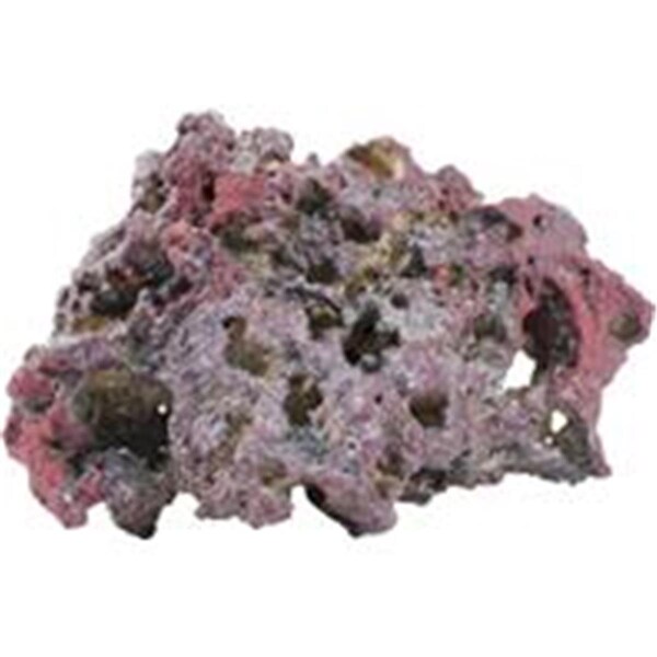 Carib Sea Life Rock Shelf Rock - 13179