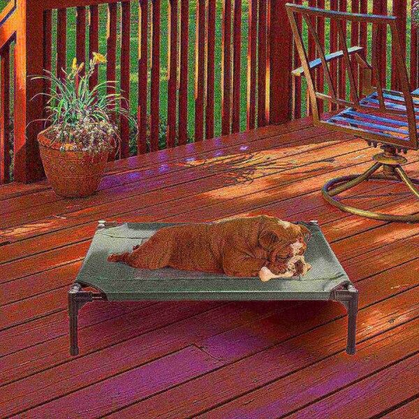 Pet Adobe Elevated Portable Pet Bed Cot-Style 30 inx24 inx7 in for Dogs and Small Pets, Indoor/Outdoor Gray - 302425FGG