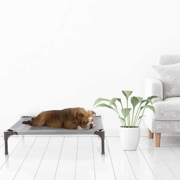 Pet Adobe Elevated Portable Pet Bed Cot-Style 30 inx24 inx7 in for Dogs and Small Pets, Indoor/Outdoor Gray - 302425FGG