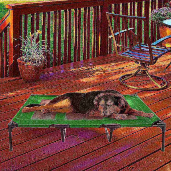 Pet Adobe Elevated Portable Pet Bed Cot-Style 48x35.5x9 in for Dogs and Small Pets, Indoor/Outdoor Green - 642010SAI