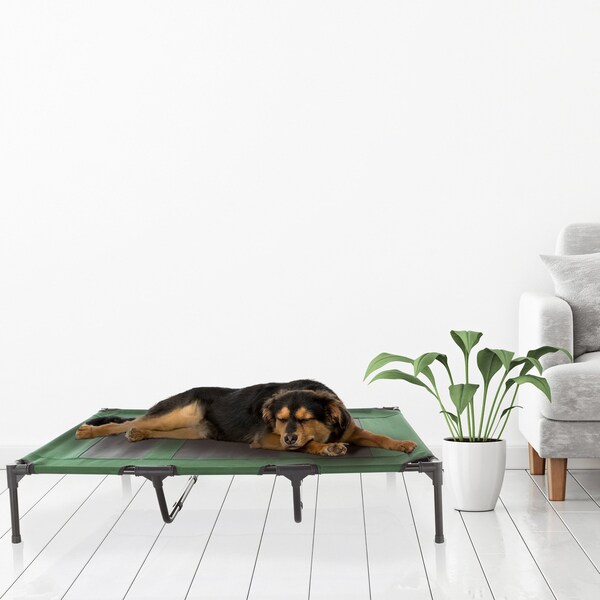 Pet Adobe Elevated Portable Pet Bed Cot-Style 48x35.5x9 in for Dogs and Small Pets, Indoor/Outdoor Green - 642010SAI