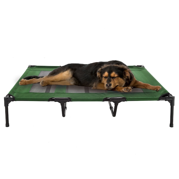 Pet Adobe Elevated Portable Pet Bed Cot-Style 48x35.5x9 in for Dogs and Small Pets, Indoor/Outdoor Green - 642010SAI